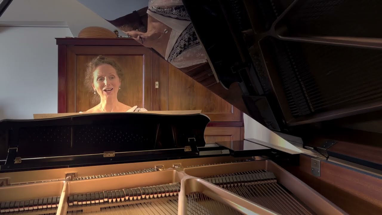 Claude Debussy - Self-accompanied singing project - Ariettes Oubliées - Noël-web